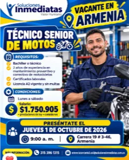 Técnico Senior de Motos - Soluciones Inmediatas