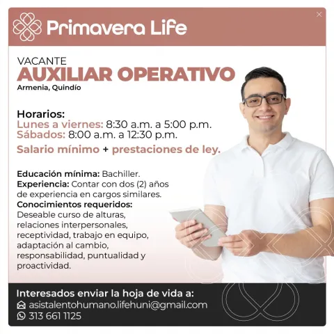 Aux. operativo - Primavera Life