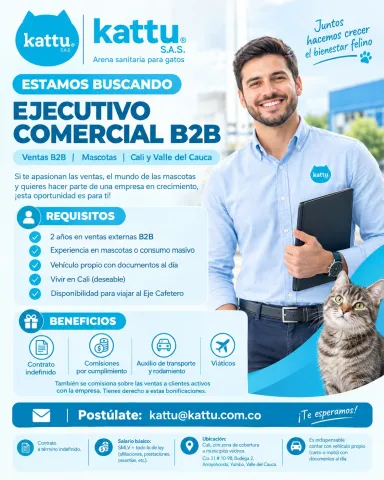 Vacante Ejecutivo Comercial B2B - Kattu S.A.S.